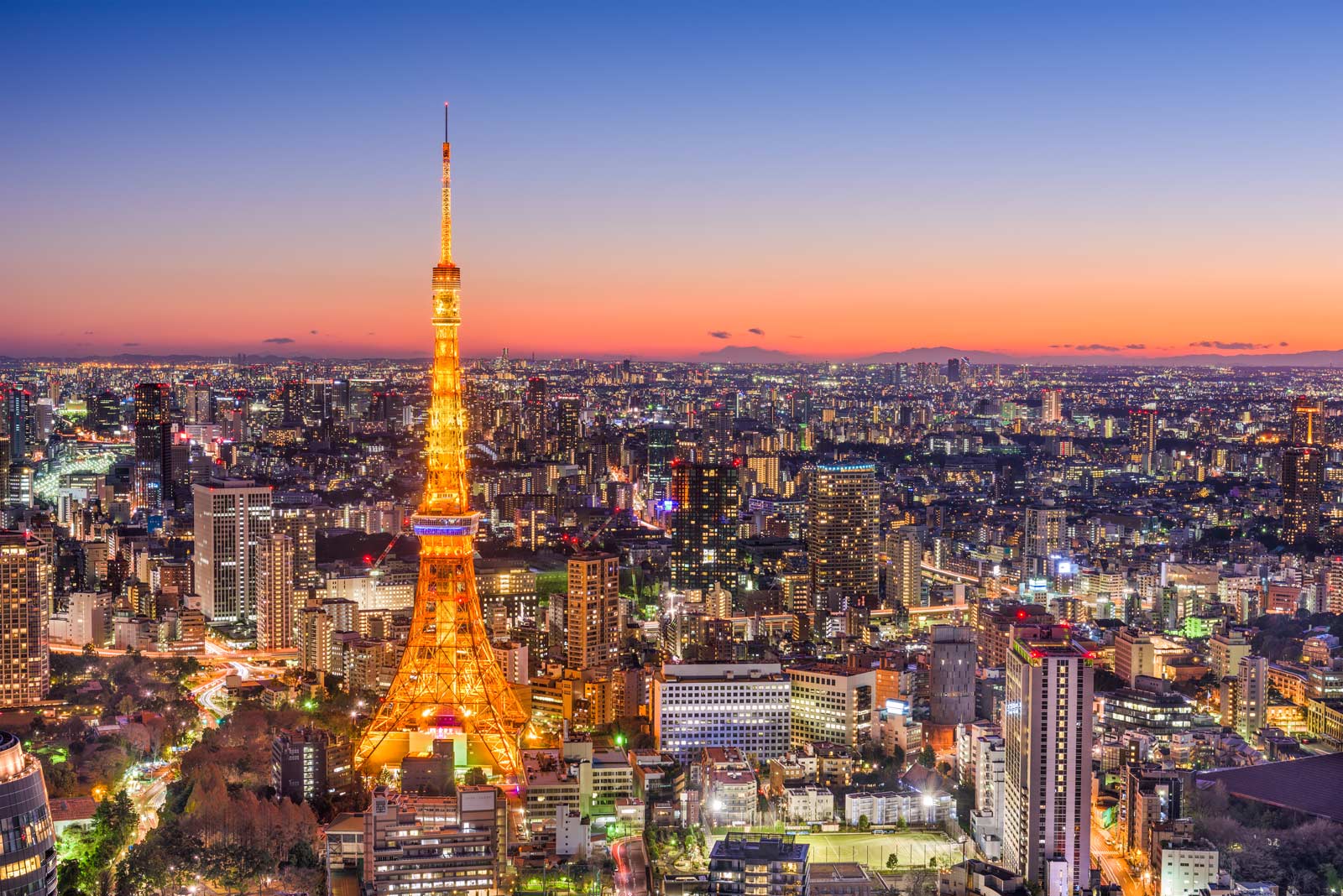 Half Day Tokyo Morning Tour